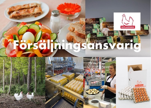 Gotlandsägg söker försäljningsansvarig