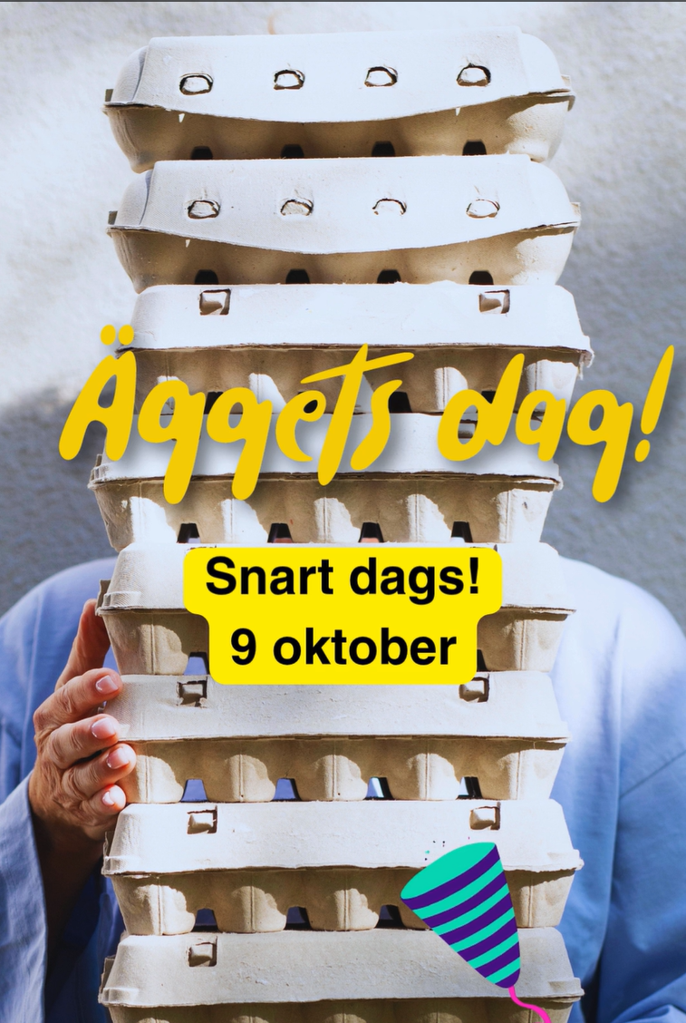 Skärmbild 2026-10-02 155321